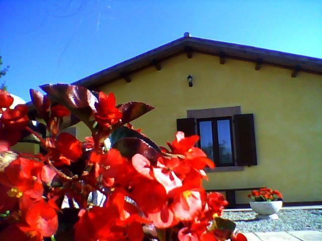 La Quiete Bed & Breakfast Acquapendente Bagian luar foto